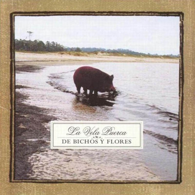 De bichos y flores