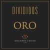 Divididos