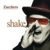 Zucchero
